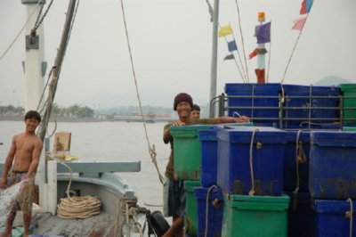 pesca (1)  ALIMENTOS MERCADO